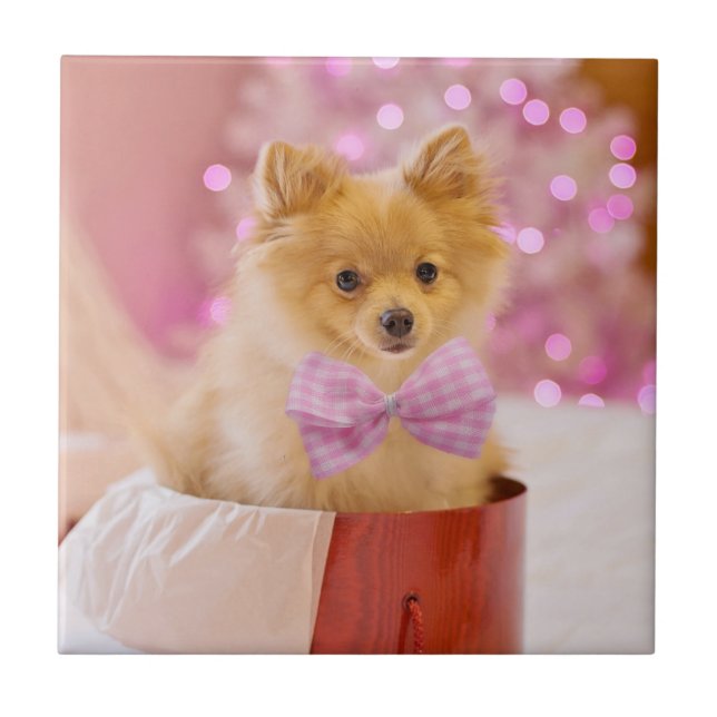 Niedlicher Hund mit Pink Bow Weihnachtsfoto Fliese (Vorderseite)
