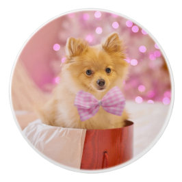 Niedlicher Hund mit Pink Bow Weihnachtsfoto Keramikknauf