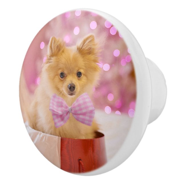 Niedlicher Hund mit Pink Bow Weihnachtsfoto Keramikknauf (Rechts)