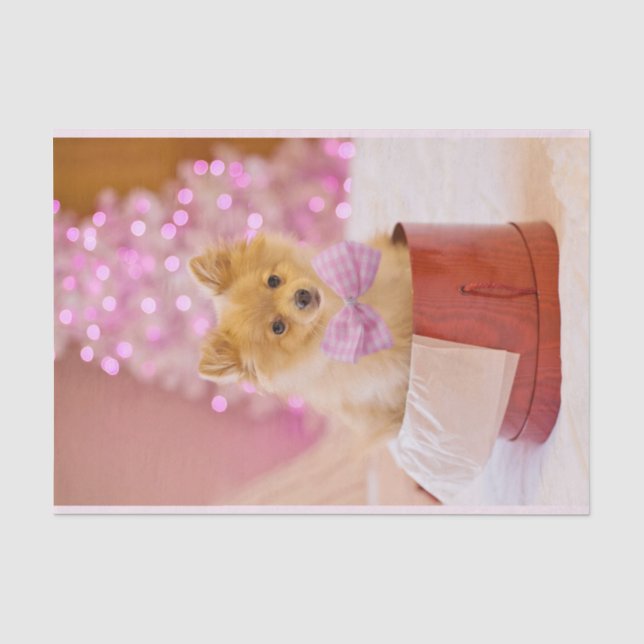 Niedlicher Hund mit Pink Bow Weihnachtsfoto Seidenpapier (Vorderseite)