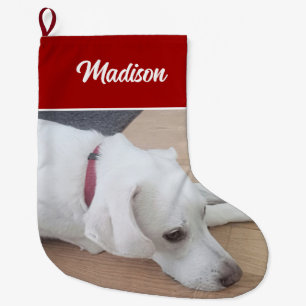 Niedlicher Hund mit Red Collar Großer Weihnachtsstrumpf