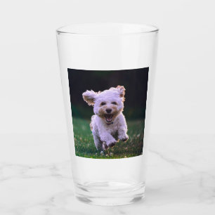 Niedlicher Hund mit weißem Löffel Glas