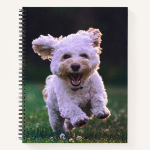Niedlicher Hund mit weißem Löffel Notizbuch