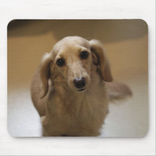 Niedlicher Hund Mousepad