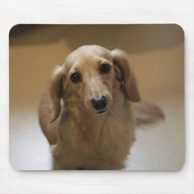 Niedlicher Hund Mousepad (Vorne)