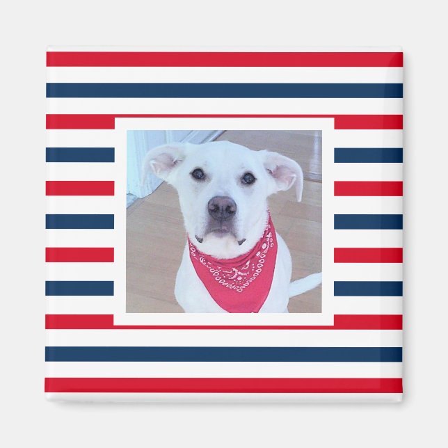 Niedlicher Hund Red White Stripes Patriotisches Fo Magnet (Vorne)