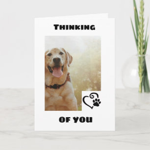 *NIEDLICHER HUND SAGT, EINE GLÜCKLICHE* GEBURTSTAG KARTE