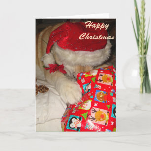 niedlicher Hund schlief und Weihnachten verkleidet