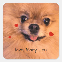 Niedlicher Hund Spitz KinderValentine