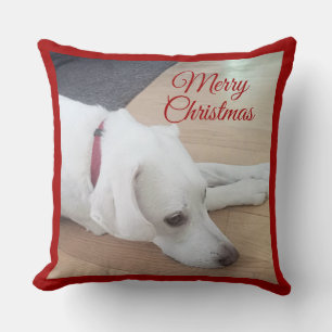 Niedlicher Hund trägt Red Collar Weihnachten Kissen