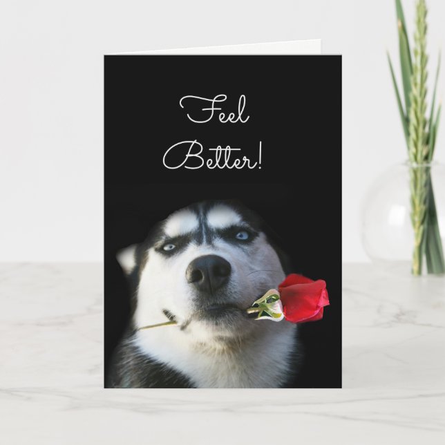 Niedlicher Hund und Blume fühlen sich besser erhal Karte (Vorderseite)
