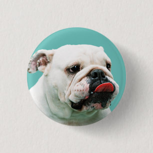 Niedlicher Hundehund Button