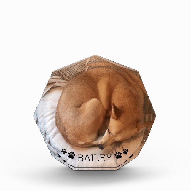 Niedlicher Hundehund Foto Name Pawprints Gemstone (Vorderseite)