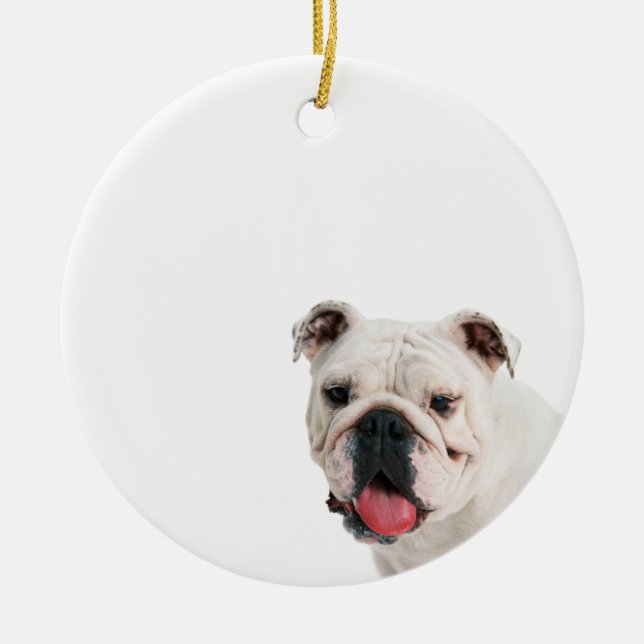 Niedlicher Hundehund Keramik Ornament (Vorne)