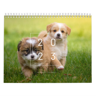 Niedlicher Hundekalender 2023 Kalender