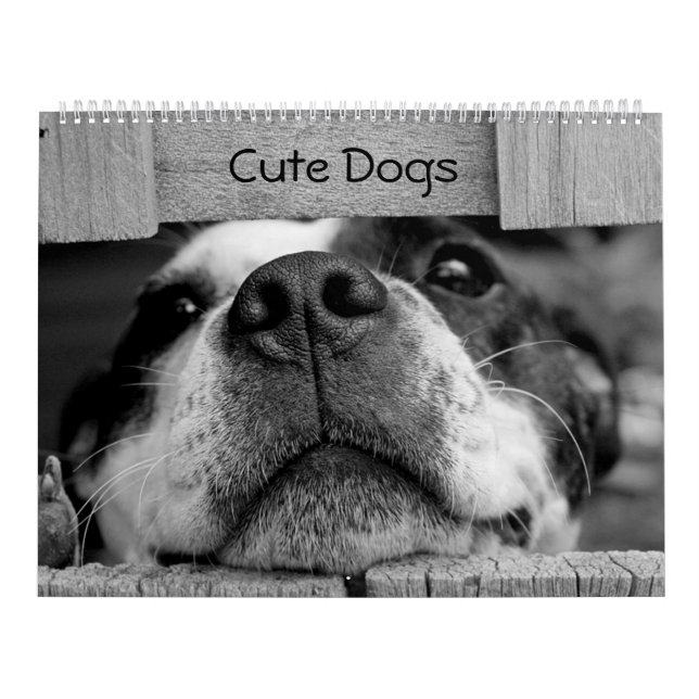 Niedlicher Hundekalender Kalender (Titelbild)