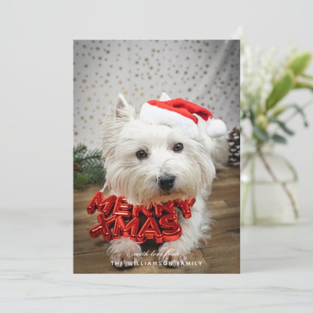 Niedlicher Hundewelpen Frohe Weihnachtskarte Feiertagskarte (Stehend Vorderseite)