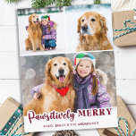 Niedlicher Hundfoto-Collage pawsistisch fröhlich Feiertagspostkarte<br><div class="desc">Mit unserer neuen Reihe von Urlaubskarten, die sich perfekt für Familien mit furiosen Freunden eignen! Unsere Kollektion "Pawsitive Merry" bietet eine Vielfalt an lustigen und festlichen Designs, die Ihre geliebten Haustiere niedlich und spielerisch präsentieren. Ob Hund oder Katze, Sie können aus einer Auswahl an modernen, lustigen, Retro-, kühlen und stilvollen...</div>