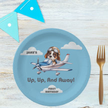 Niedlicher Hundspilot und Cessna Flugzeug, Reisen,