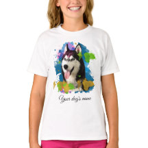 Niedlicher Husky.