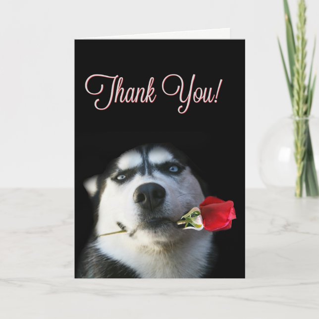 Niedlicher Husky und Rose Dankeschön Karte (Vorderseite)