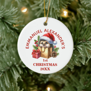 Niedlicher Igel Erster Weihnachten Personalisiert Keramik Ornament