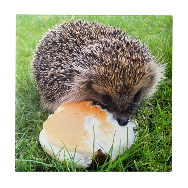 NIEDLICHER IGEL FLIESE (Vorderseite)