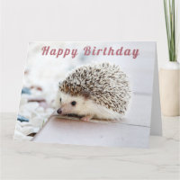 Niedlicher Igel - Happy Birthday