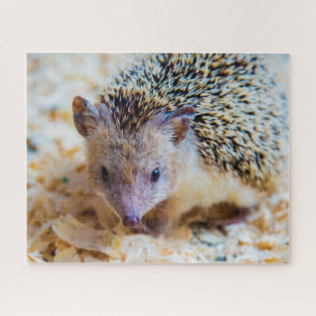 Niedlicher Igel, Jigsaw Puzzle (Horizontal)
