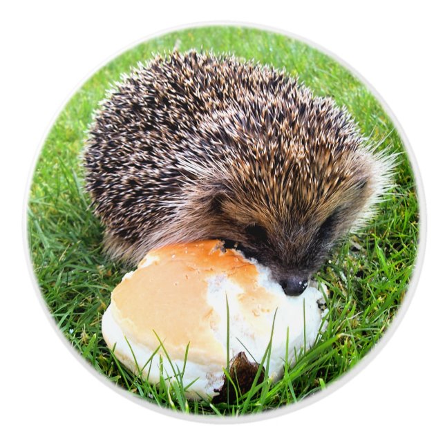 NIEDLICHER IGEL KERAMIKKNAUF (Vorderseite)