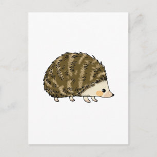 Niedlicher Igel Postkarte