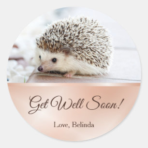 Niedlicher Igel Rose Gold wird gut Runder Aufkleber