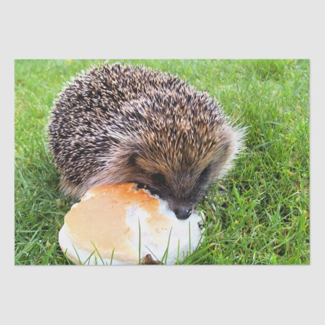 NIEDLICHER IGEL SEIDENPAPIER (Vorderseite)