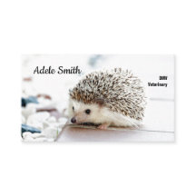 Niedlicher Igel Veterinärmedizinische Standardkart