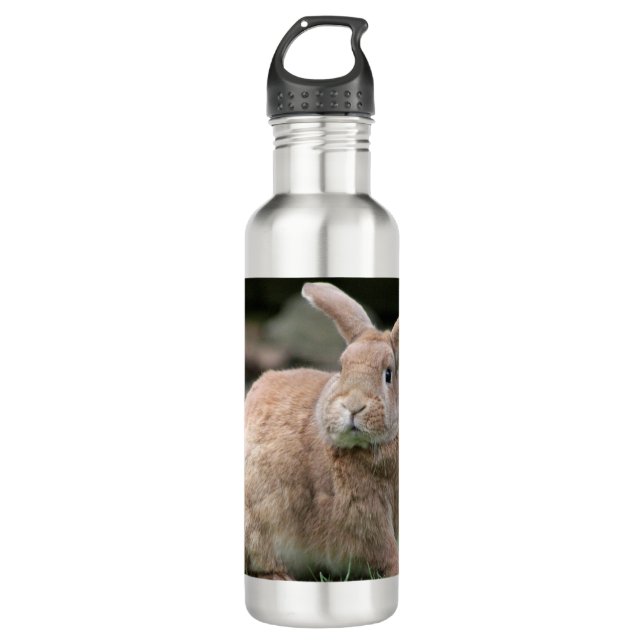 Niedlicher Ingwer mit großen Ohren Edelstahlflasche (Vorderseite)