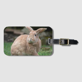 Niedlicher Ingwer mit großen Ohren Gepäckanhänger