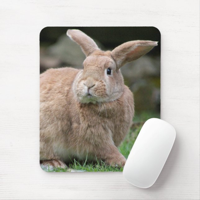 Niedlicher Ingwer mit großen Ohren Mousepad (Mit Mouse)