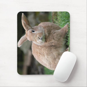 Niedlicher Ingwer mit großen Ohren Mousepad