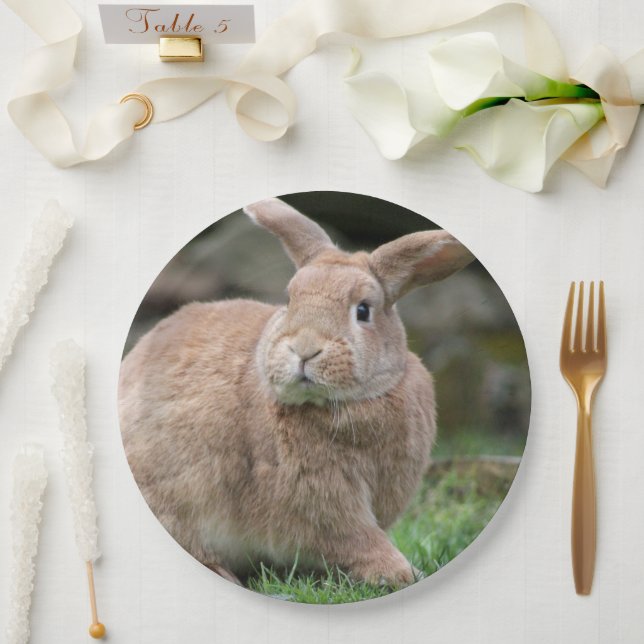Niedlicher Ingwer mit großen Ohren Pappteller (Hochzeit)