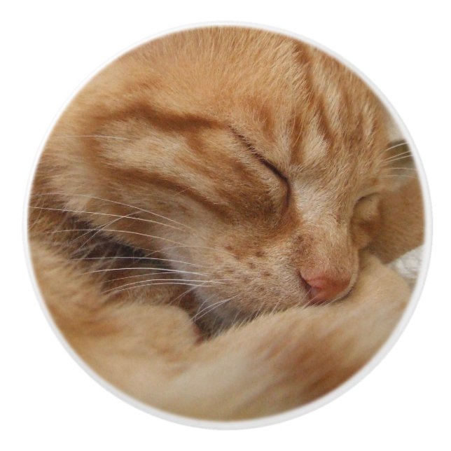 Niedlicher Ingwer-orange Katzen-Aufbereiter-Griffe Keramikknauf (Vorderseite)