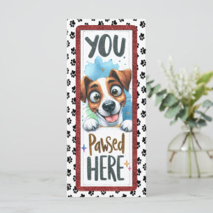 Niedlicher Jack Russell Terrier Dog