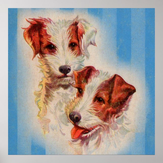 NIEDLICHER Jack Russell Terriers Poster (Vorne)