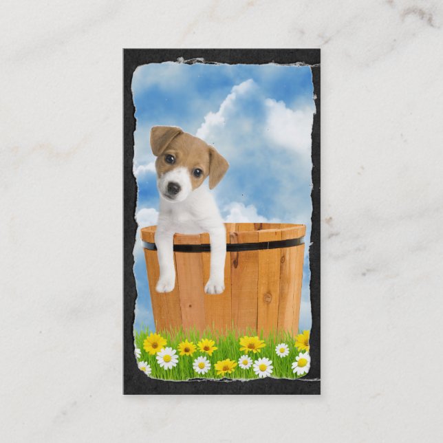 Niedlicher Jack-Russell-Welpe Visitenkarte (Vorderseite)