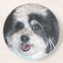 Niedlicher K-Cee Zuchon Dog Untersetzer