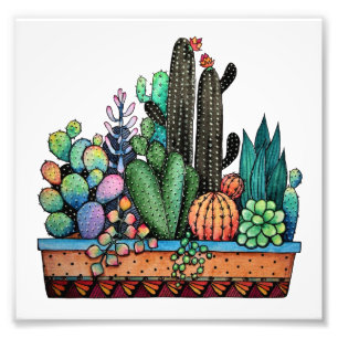 Niedlicher Kakteen Garden in Pot Fotodruck