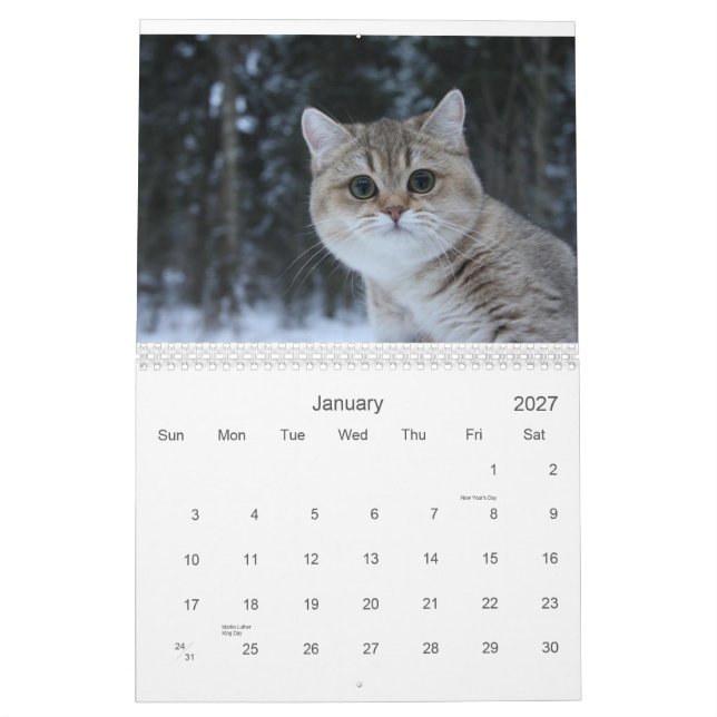 Niedlicher Kalender der Kätzchen-2012 (Jan 2027)