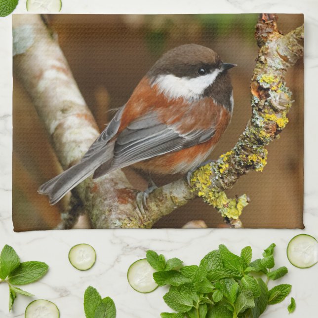Niedlicher Kastaniengegarter Chickadee auf dem Bir Geschirrtuch (Gefaltet)