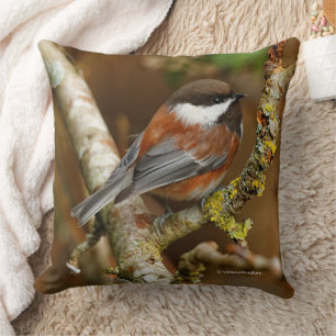 Niedlicher Kastaniengegarter Chickadee auf dem Bir Kissen