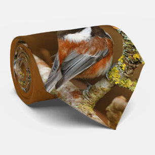 Niedlicher Kastaniengegarter Chickadee auf dem Bir Krawatte