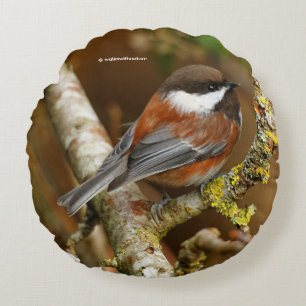 Niedlicher Kastaniengegarter Chickadee auf dem Bir Rundes Kissen